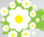 Green eco banner with flowers
